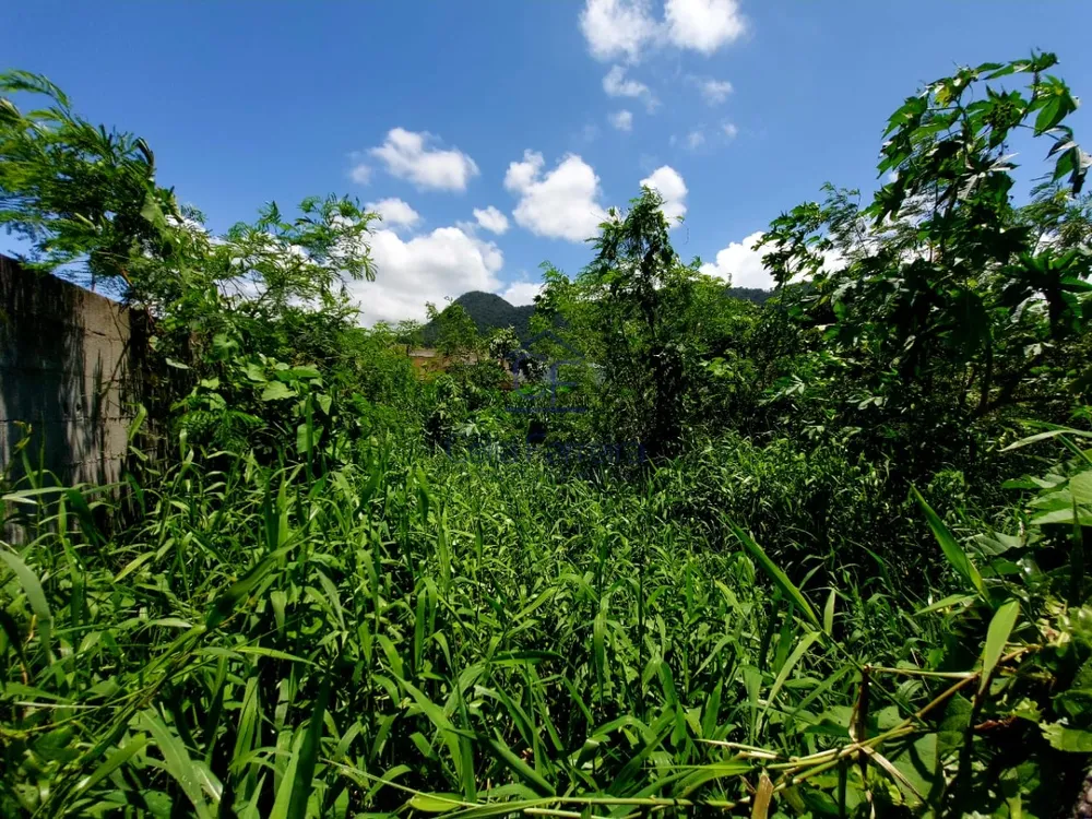 Terreno, 300 m² - Foto 6