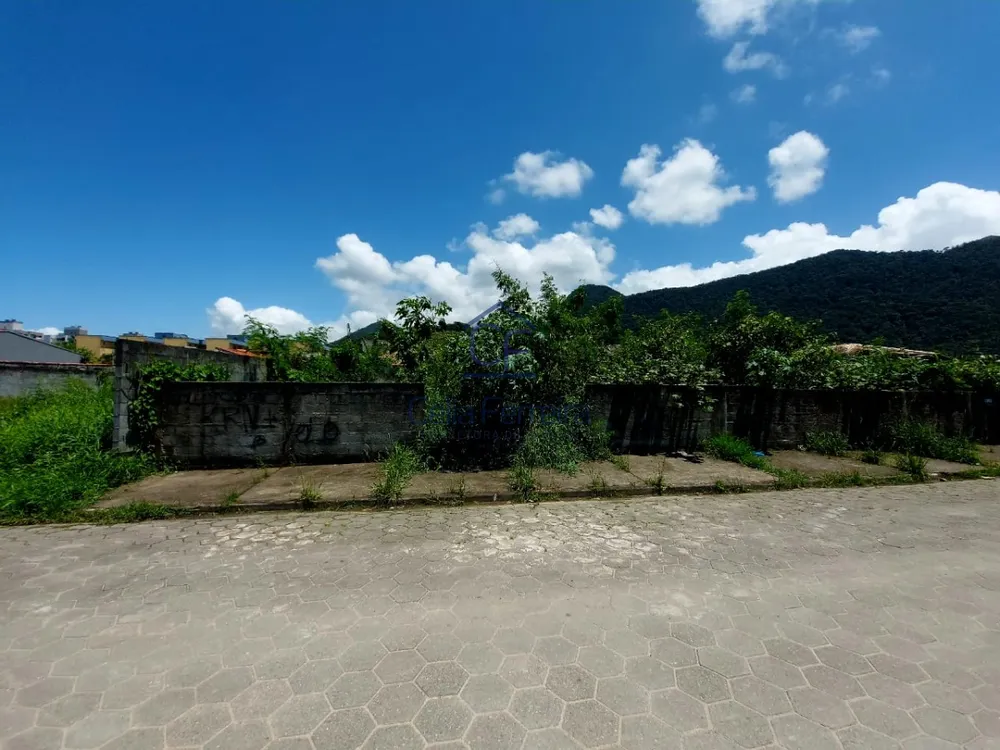 Terreno, 300 m² - Foto 8