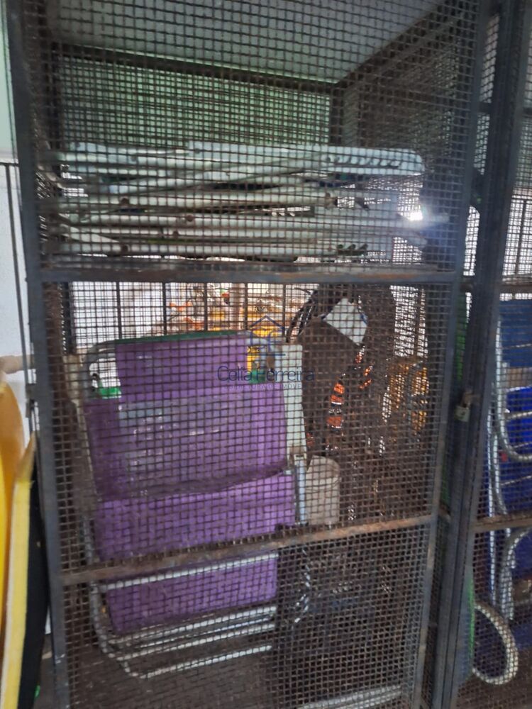 Apartamento, 2 quartos, 70 m² - Foto 8