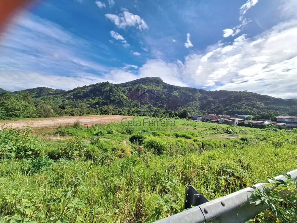 Terreno, 1 hectares - Foto 8
