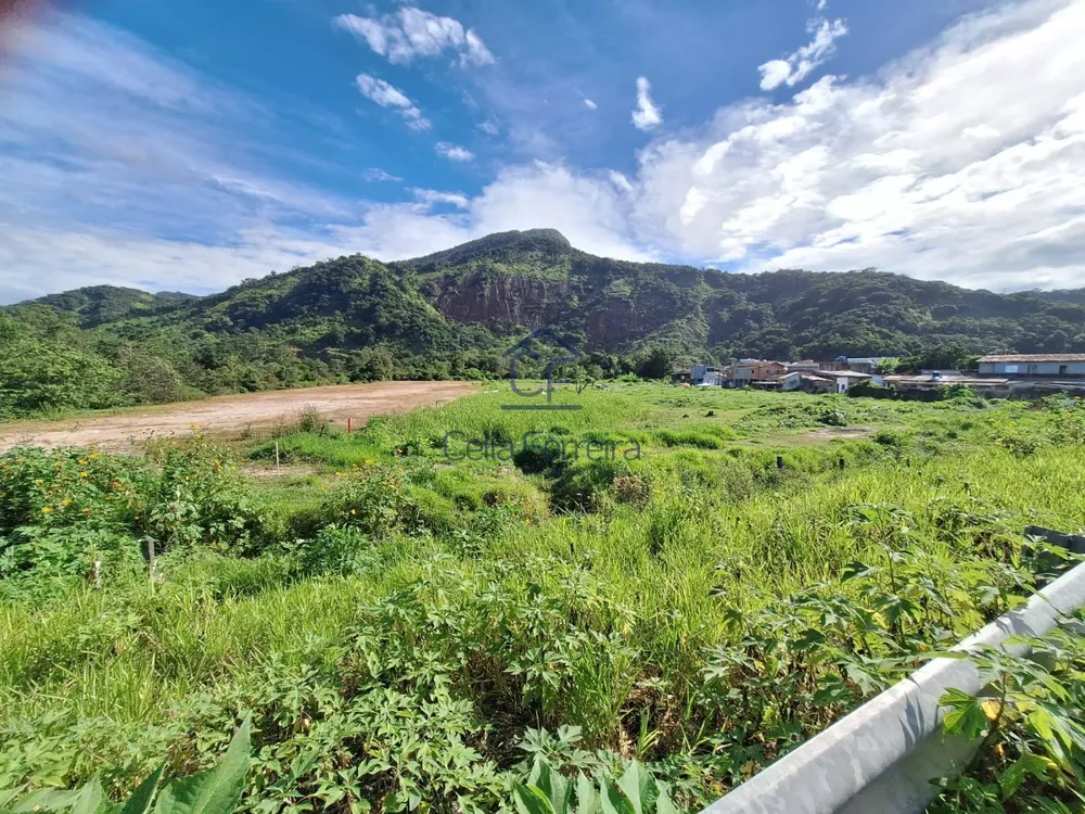 Terreno, 1 hectares - Foto 7