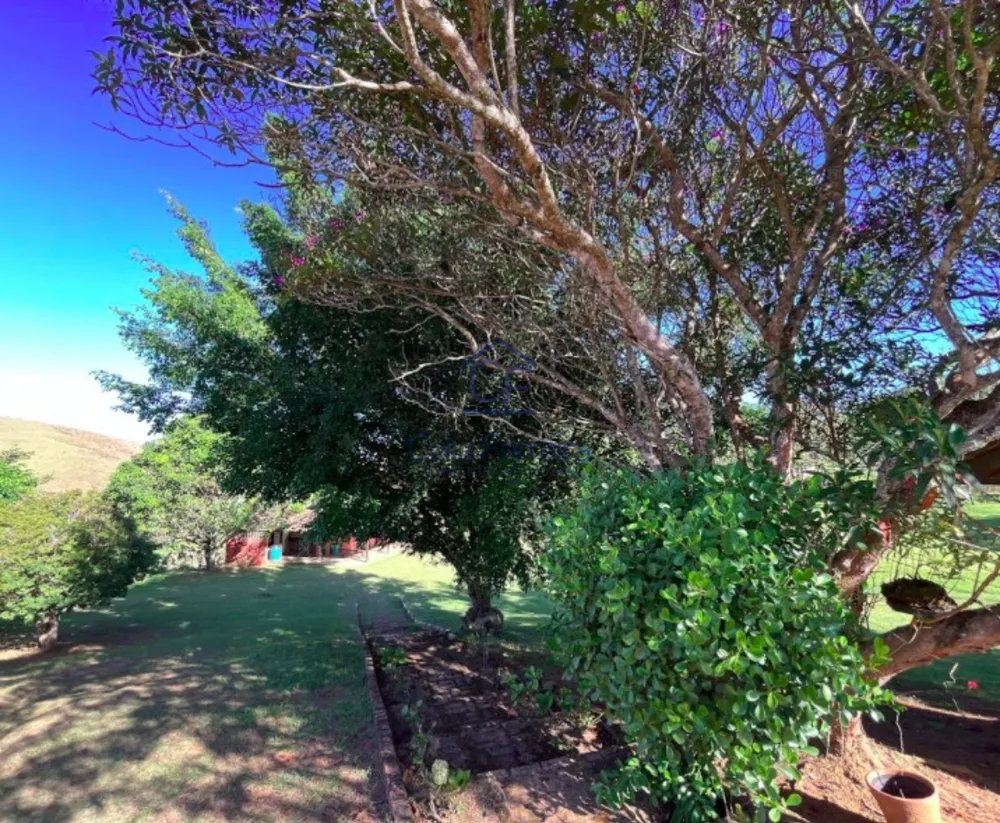 Chácara, 3 quartos, 2 hectares - Foto 3