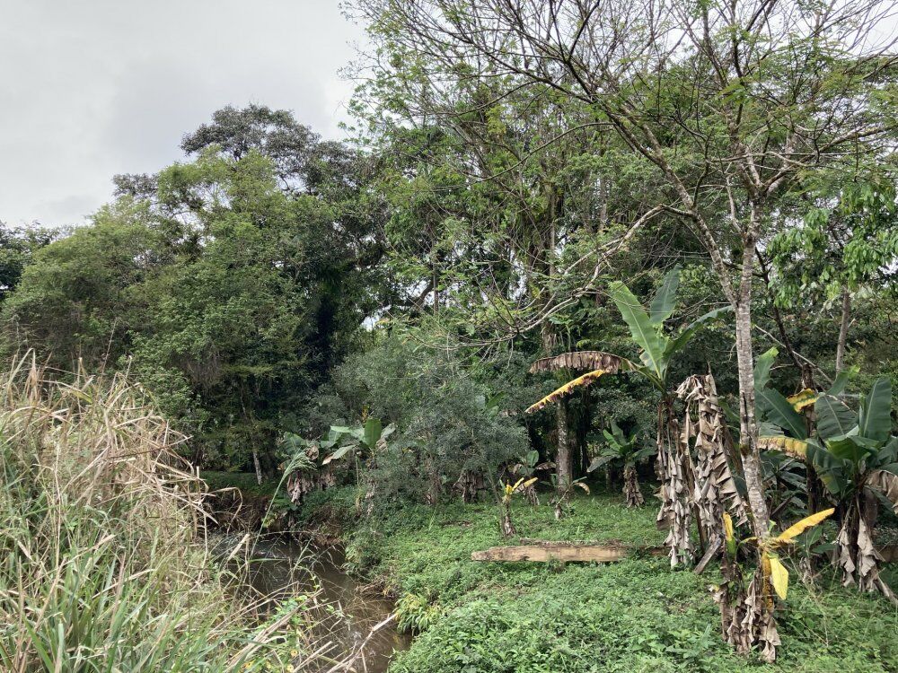 Chácara, 3 quartos, 1156 m² - Foto 4