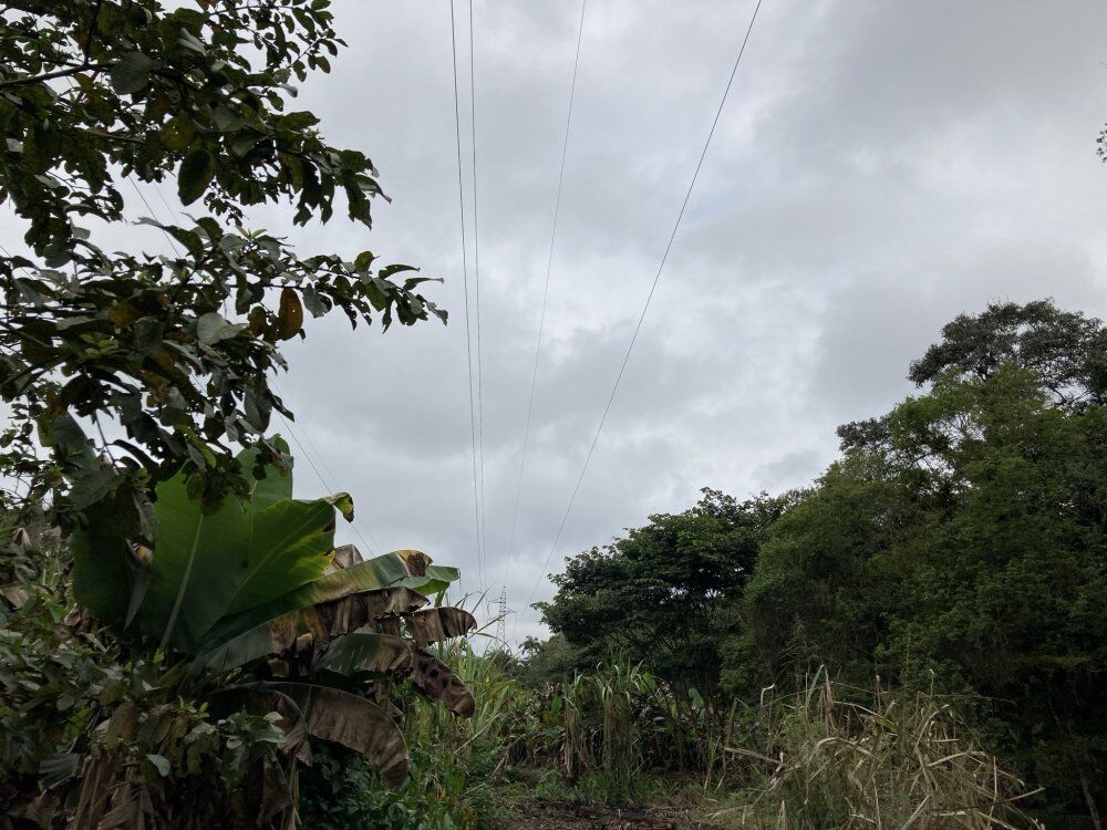 Chácara, 3 quartos, 1156 m² - Foto 6