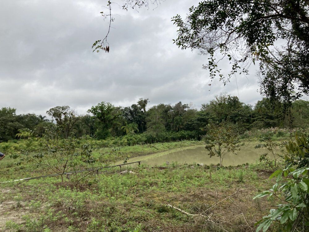 Chácara, 3 quartos, 1156 m² - Foto 10