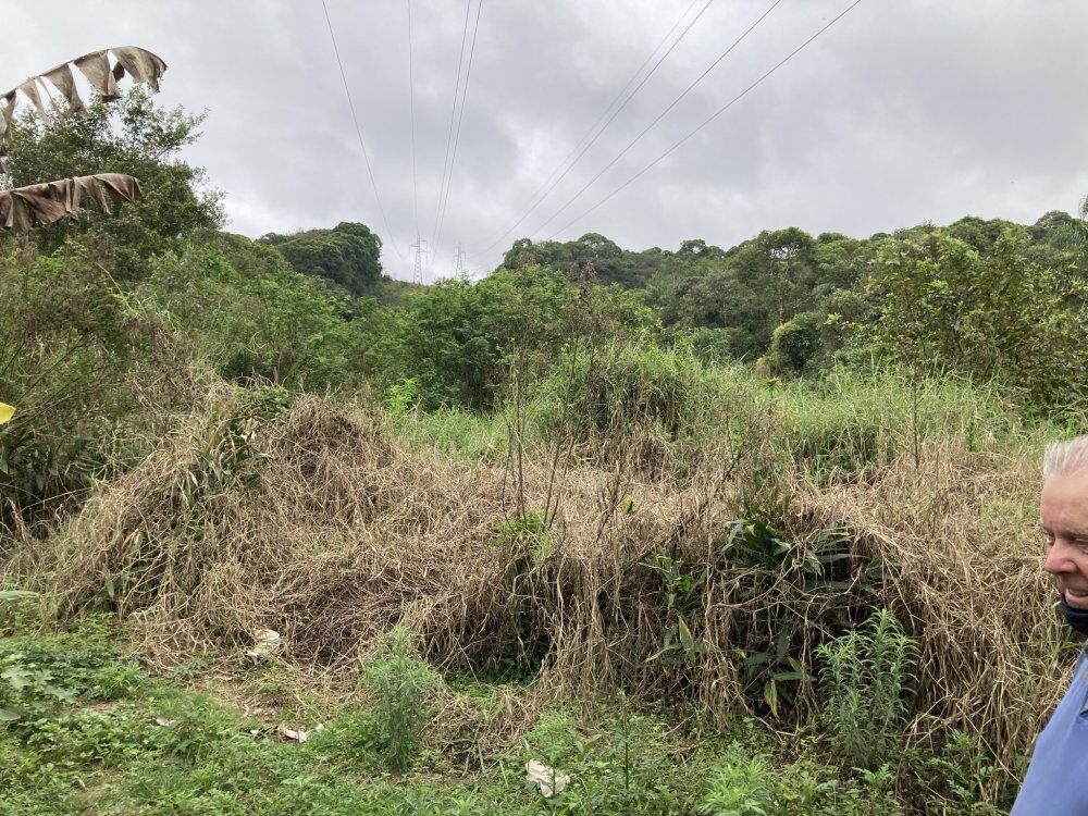 Chácara, 3 quartos, 1156 m² - Foto 11