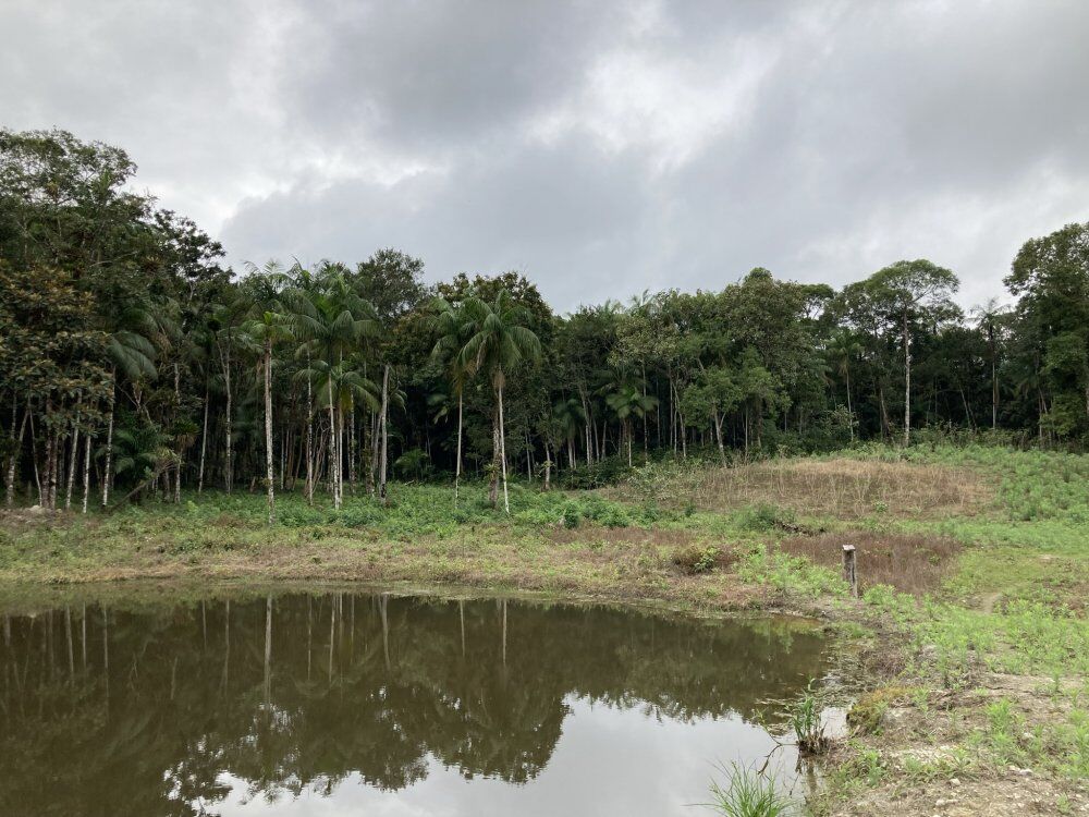 Chácara, 3 quartos, 1156 m² - Foto 3