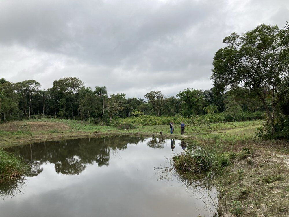 Chácara, 3 quartos, 1156 m² - Foto 2