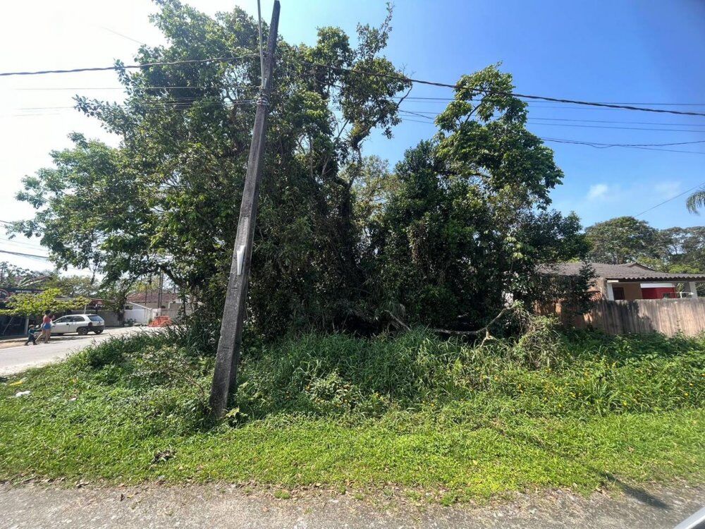 Terreno, 375 m² - Foto 4