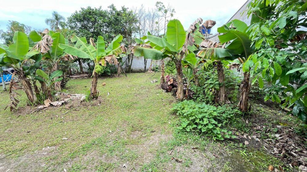 Casa, 2 quartos, 40 m² - Foto 12