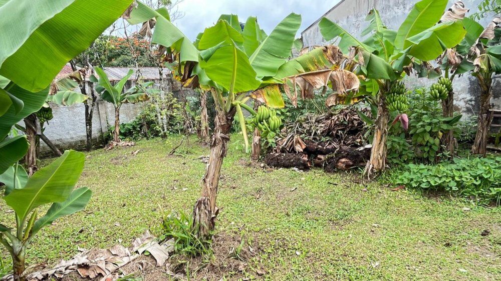 Casa, 2 quartos, 40 m² - Foto 7