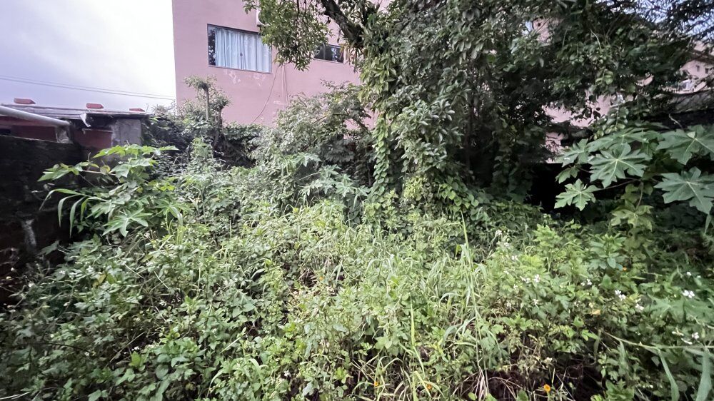 Terreno, 300 m² - Foto 3