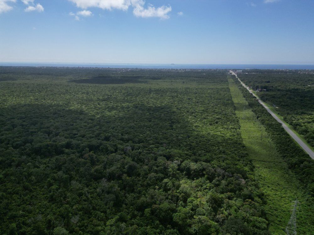 Terreno, 30 hectares - Foto 6