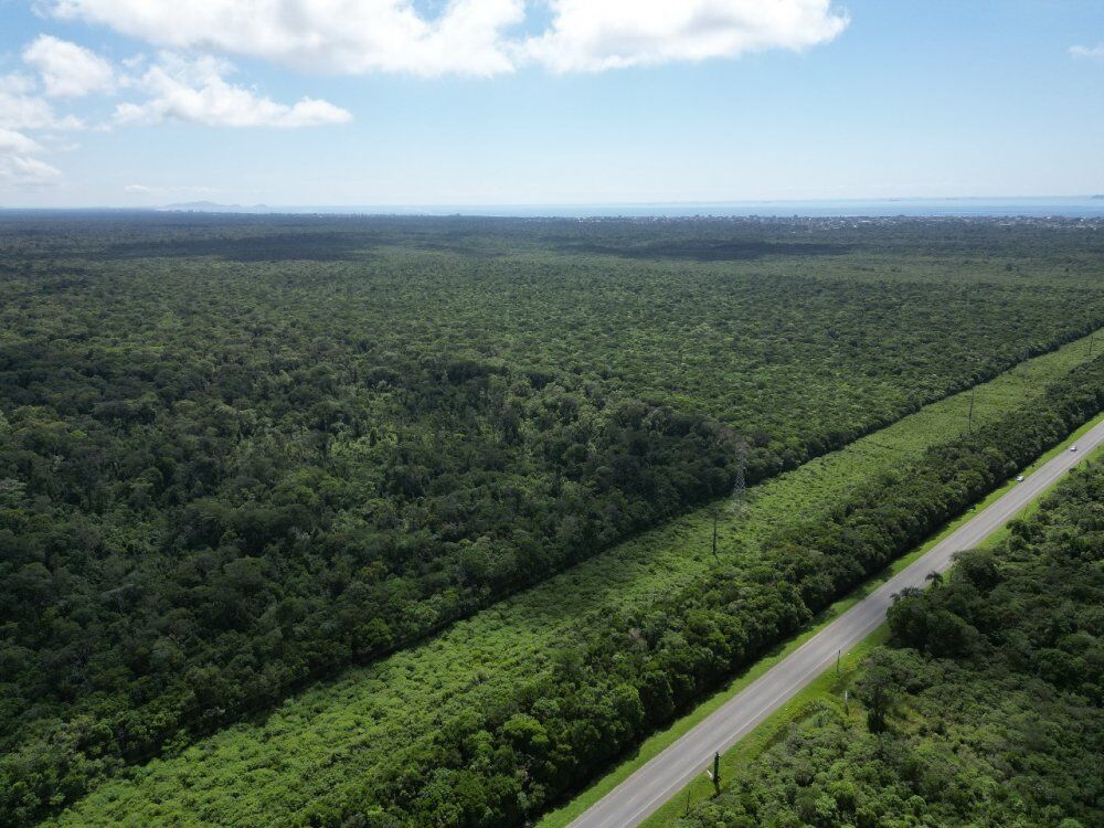 Terreno, 30 hectares - Foto 9