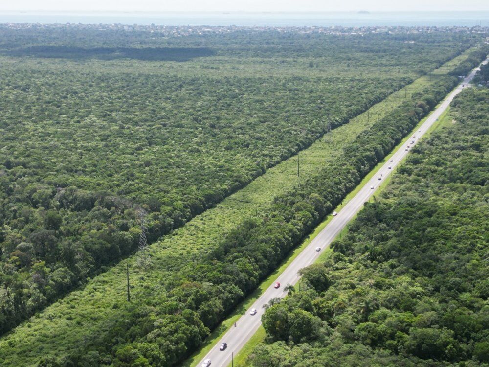 Terreno, 30 hectares - Foto 8