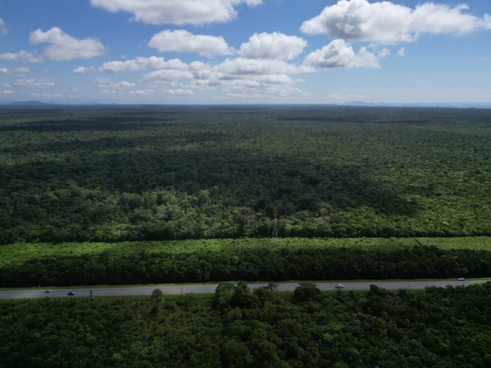 Terreno, 30 hectares - Foto 11