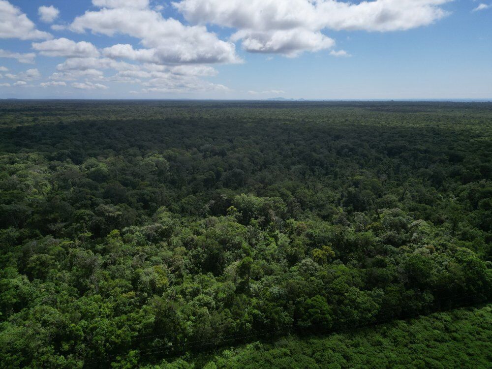 Terreno, 30 hectares - Foto 2