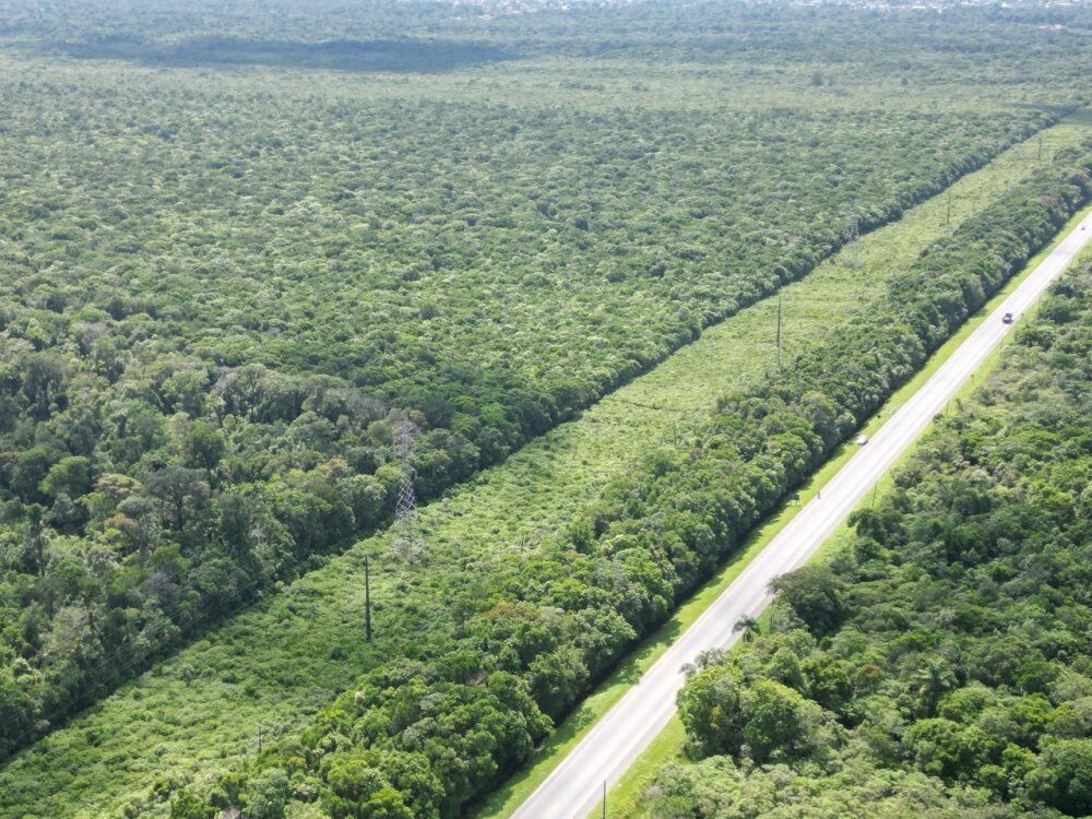 Terreno, 30 hectares - Foto 10