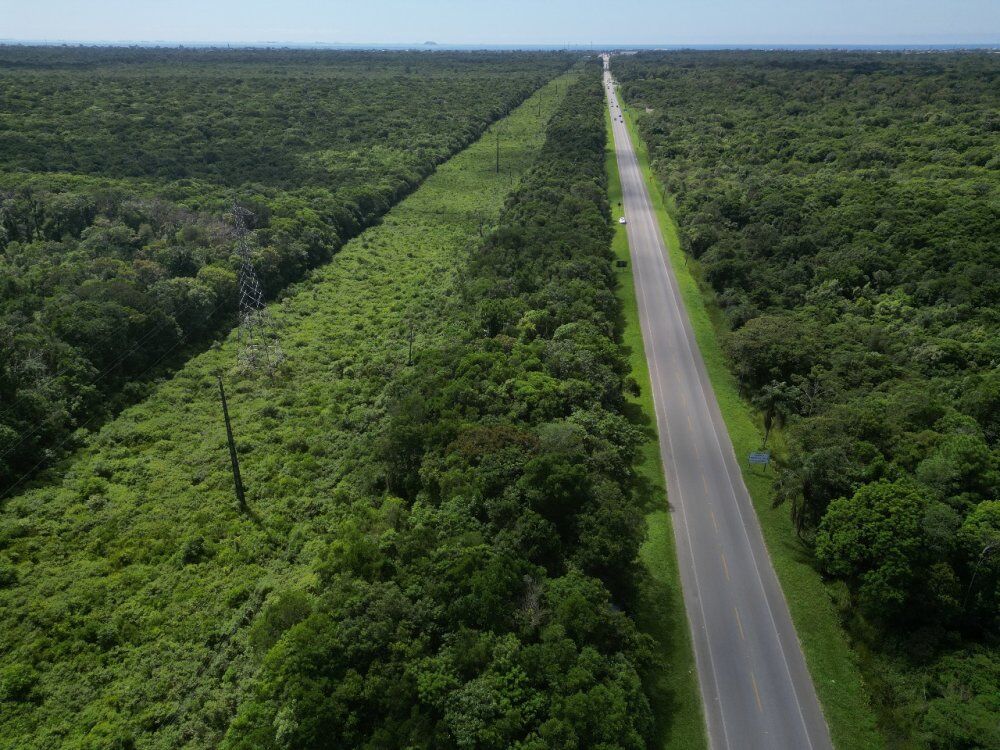 Terreno, 30 hectares - Foto 5