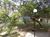 Apartamento, 3 quartos, 70 m² - Foto 9