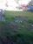 Terreno, 900 m² - Foto 1