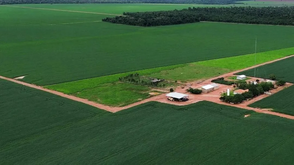 Terreno, 2 hectares - Foto 1