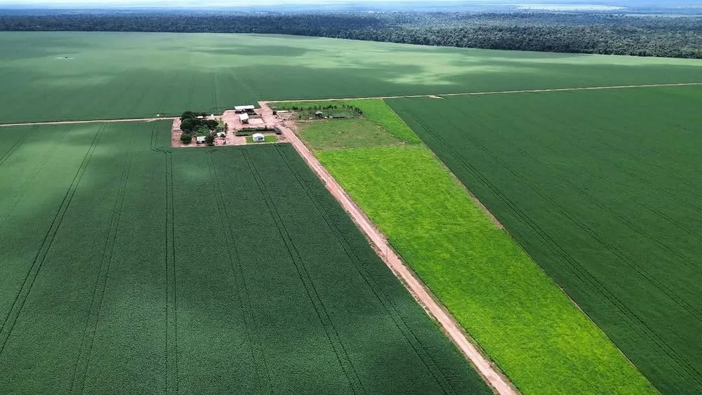 Terreno, 2 hectares - Foto 3
