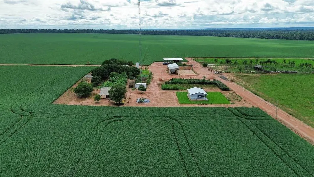 Terreno, 2 hectares - Foto 4