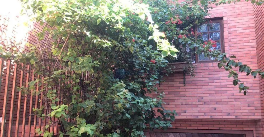Casa, 2 quartos, 215 m² - Foto 8