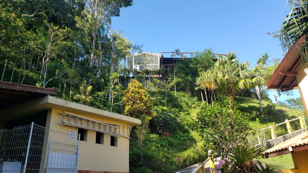 Casa, 4 quartos, 500 m² - Foto 4