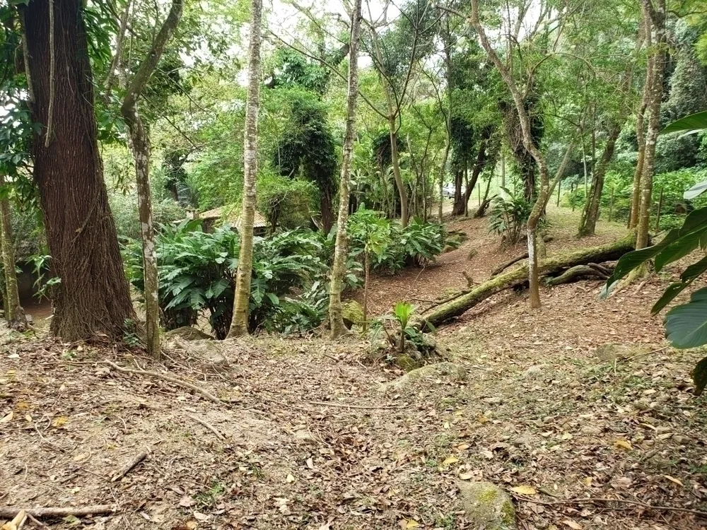 Terreno, 650 m² - Foto 8