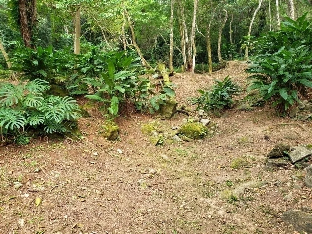 Terreno, 650 m² - Foto 7
