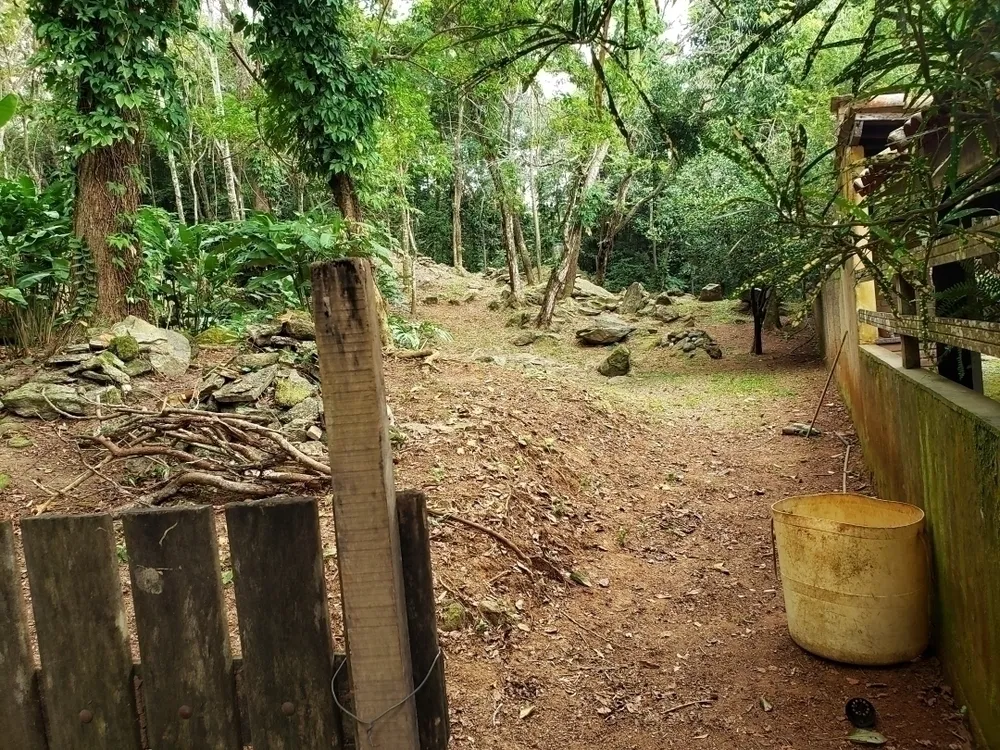 Terreno, 650 m² - Foto 6