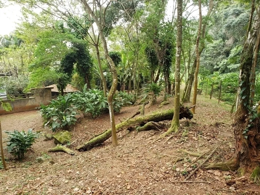 Terreno, 650 m² - Foto 9