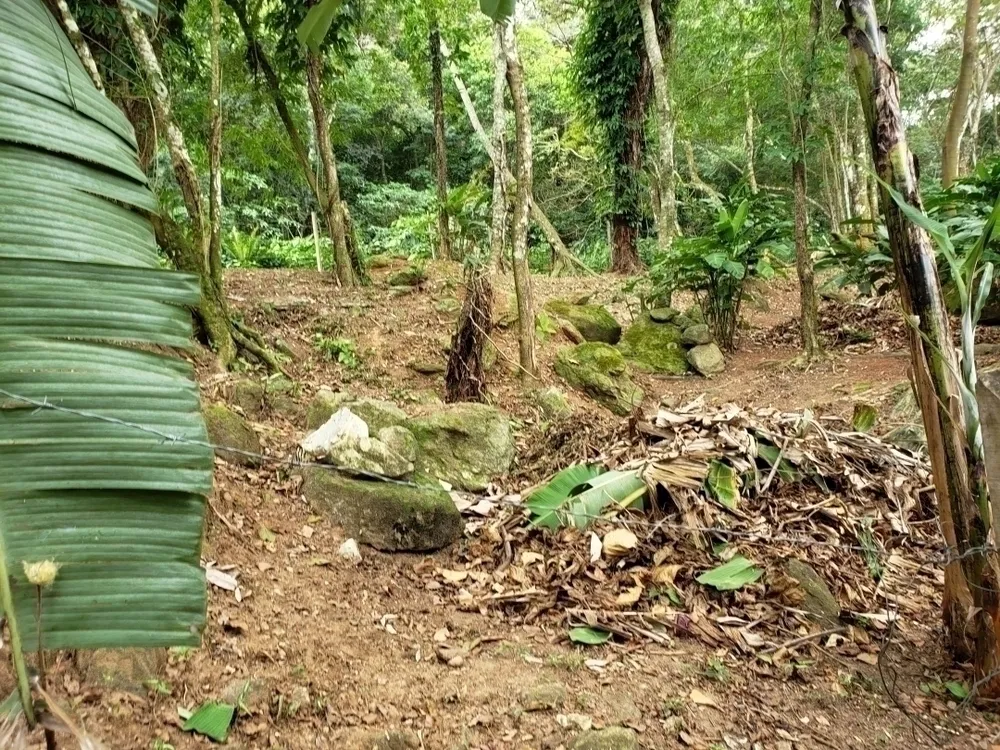 Terreno, 650 m² - Foto 5