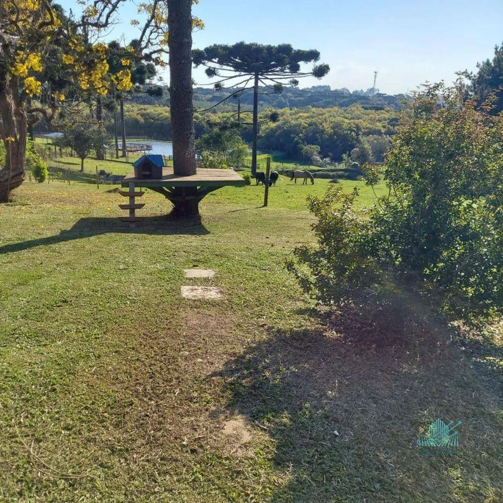 Chácara, 3 quartos, 3 hectares - Foto 4