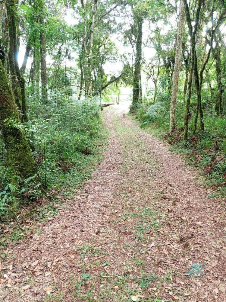 Chácara, 3 quartos, 3 hectares - Foto 3