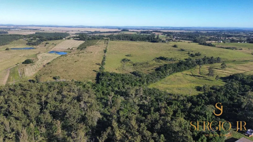 Fazenda, 185 hectares - Foto 11