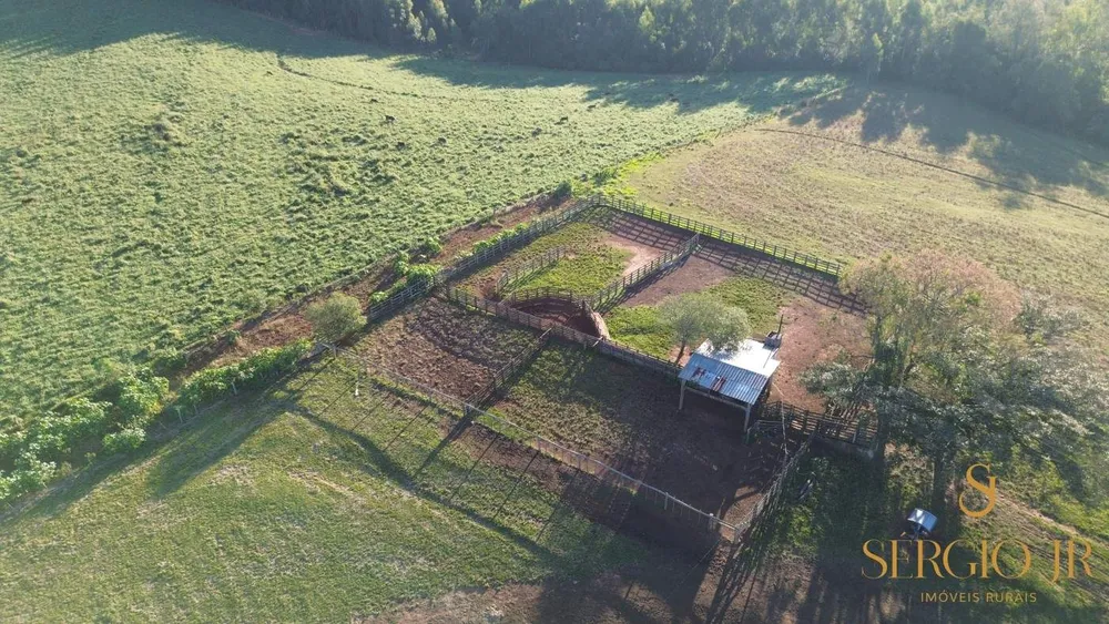 Fazenda, 185 hectares - Foto 7