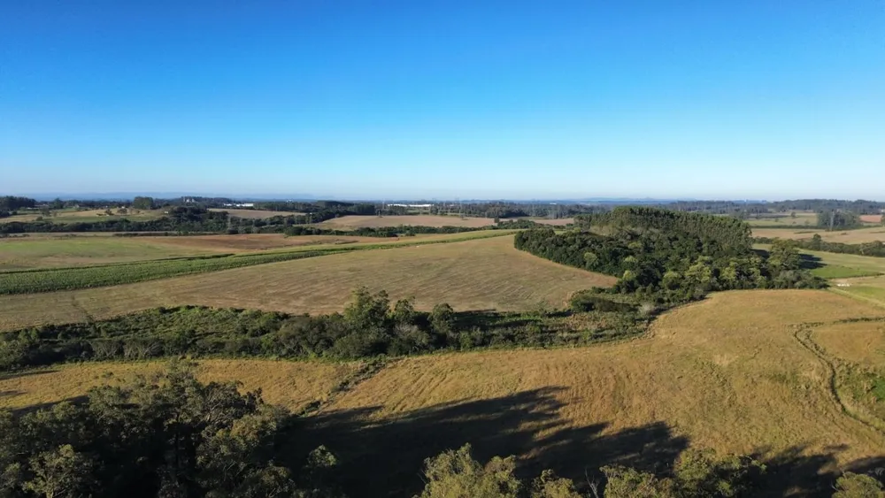 Fazenda, 185 hectares - Foto 13