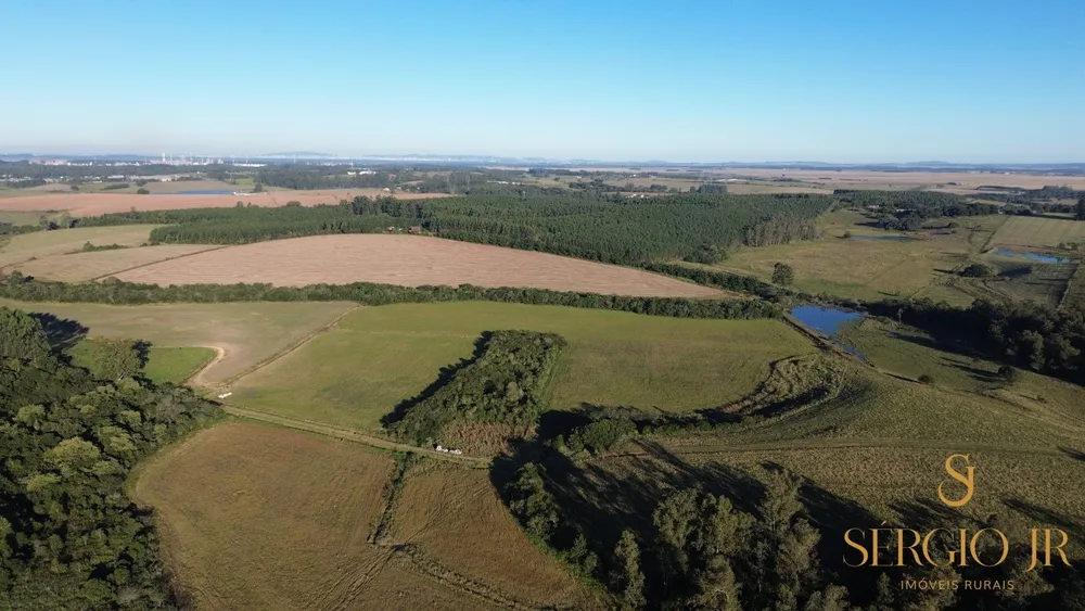 Fazenda, 185 hectares - Foto 6