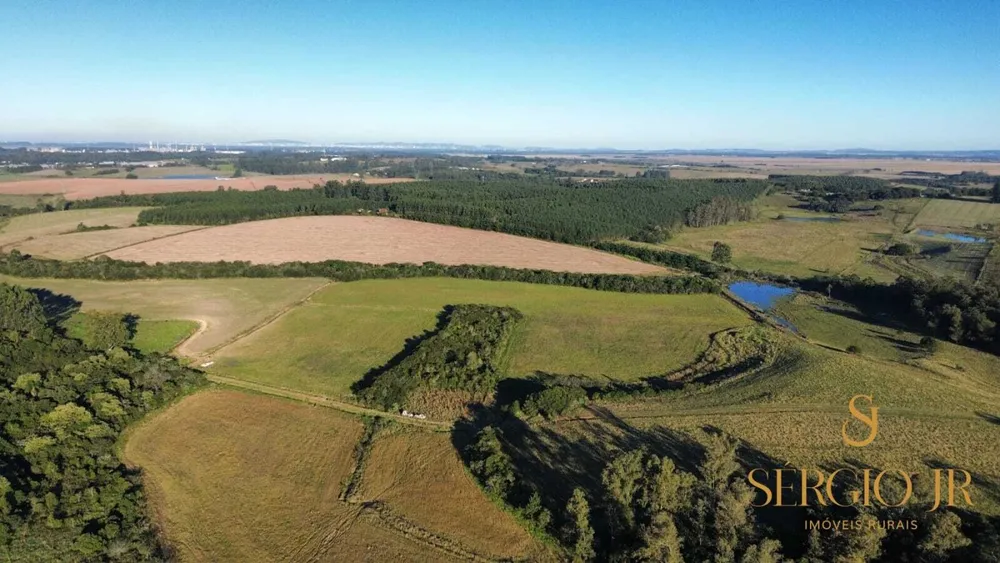 Fazenda, 185 hectares - Foto 15