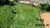 Terreno, 900 m² - Foto 4