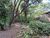 Terreno, 990 m² - Foto 2