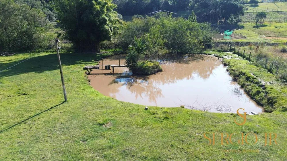 Chácara, 4 quartos, 2 hectares - Foto 7