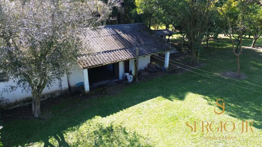 Chácara, 4 quartos, 2 hectares - Foto 10
