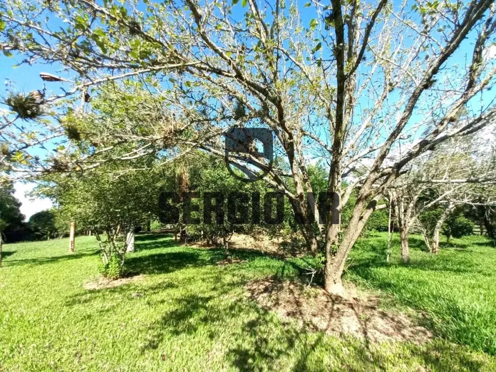 Sítio, 4 quartos, 2 hectares - Foto 26
