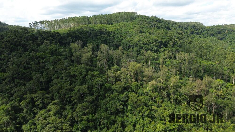 Loteamento e Condomínio, 34 hectares - Foto 14