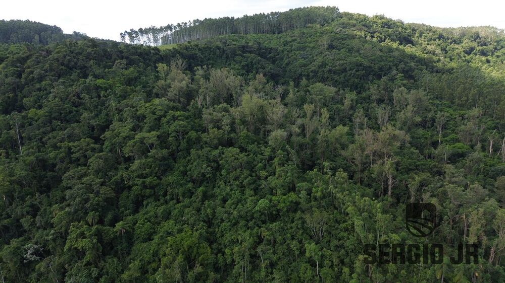 Loteamento e Condomínio, 34 hectares - Foto 9