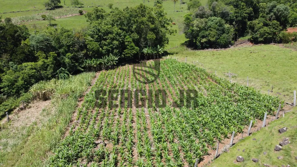 Chácara à venda com 3 quartos, 40000m² - Foto 3